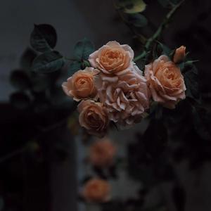 肉色丝袜细高跟的尤物娇妻
